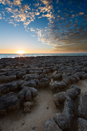 Stromatolites at sunset